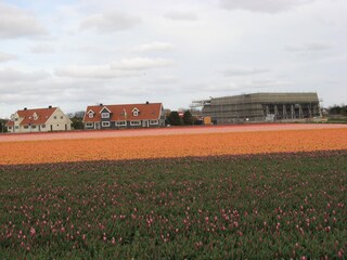 Bungalow Julianadorp Ambiente 23