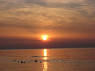 Bungalow Julianadorp Ambiente 35