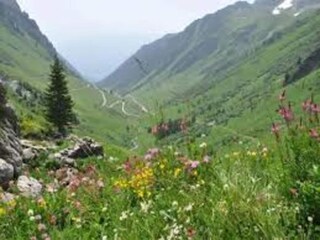 Appartement Belle Plagne Environnement 19
