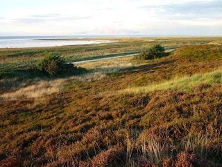 Hochheide direkt am Strand von Sahlenburg