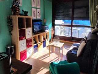 Appartamento Miribel-Lanchâtre Caratteristiche 14