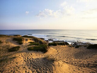 Appartement Brétignolles-sur-Mer Omgeving 31