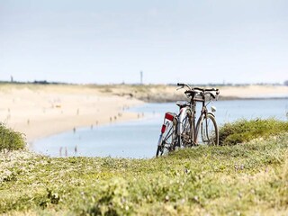 Appartement Brétignolles-sur-Mer Omgeving 33