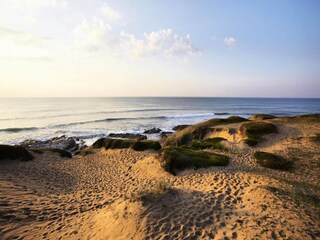 Appartement Brétignolles-sur-Mer Omgeving 35