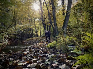 Casale Jaegerthal Ambiente 40