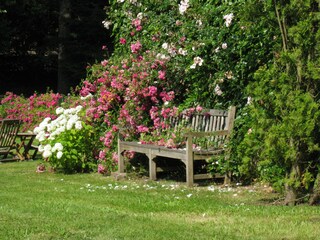 Casale Jaegerthal Registrazione all'aperto 5