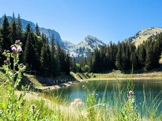 Appartamento Miribel-Lanchâtre  5