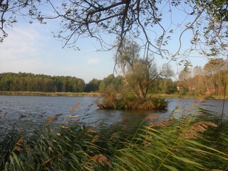 Der Kölpinsee im Nachbarort