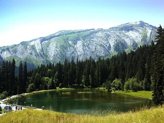 Appartement Morzine Omgeving 20