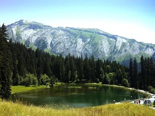 Appartement Morzine Omgeving 22