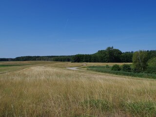 Apartamento de vacaciones Neustrelitz Entorno 39