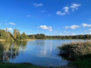 Apartamento de vacaciones Neustrelitz Entorno 31