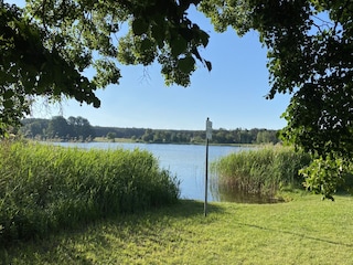 Impressionen „Kluger See“