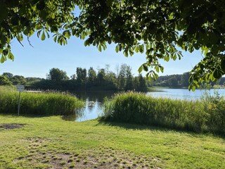 Appartamento per vacanze Neustrelitz Ambiente 38