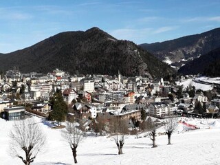 Appartamento Miribel-Lanchâtre Ambiente 24
