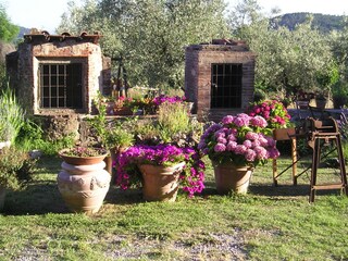 Holiday apartment Serravalle Pistoiese Outdoor Recording 13
