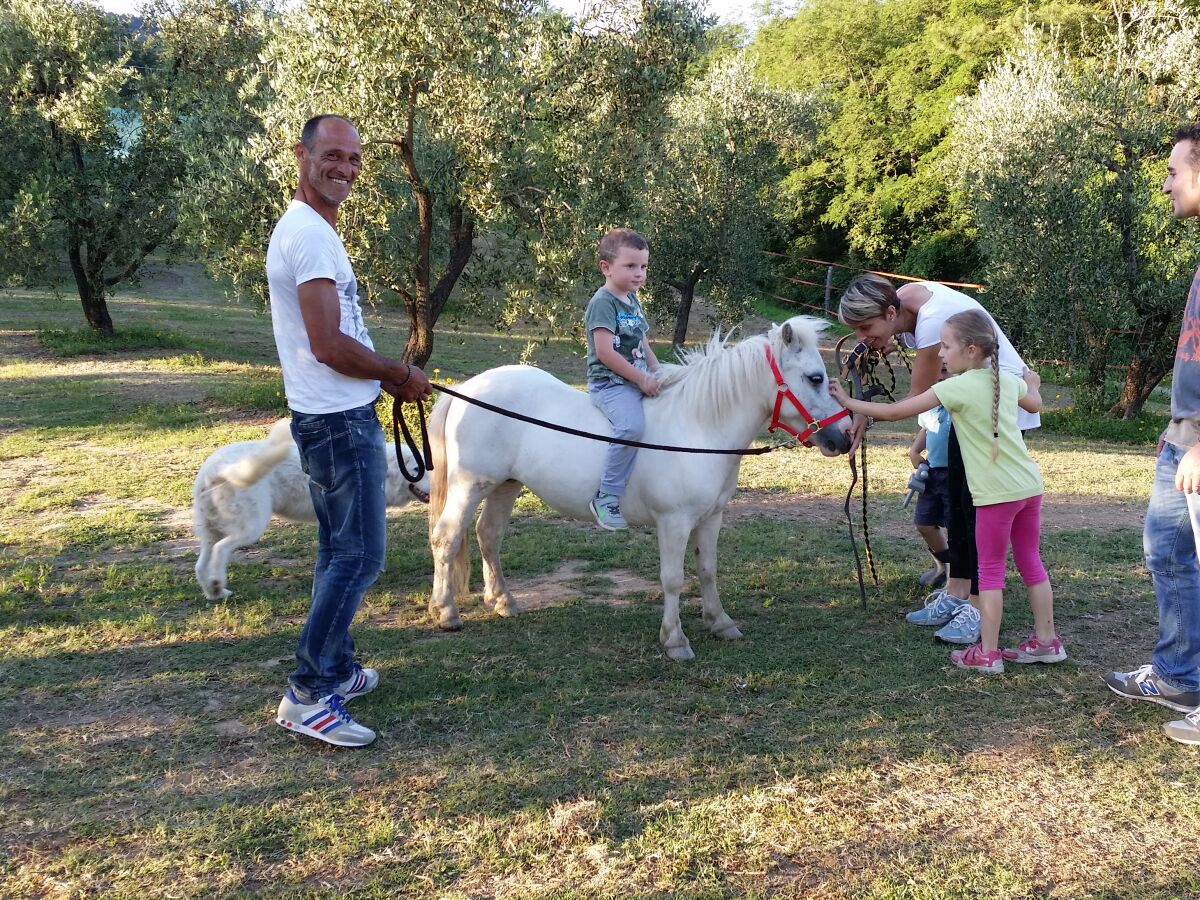 Naheliegende Pferdestall auch für Kinder geeignet