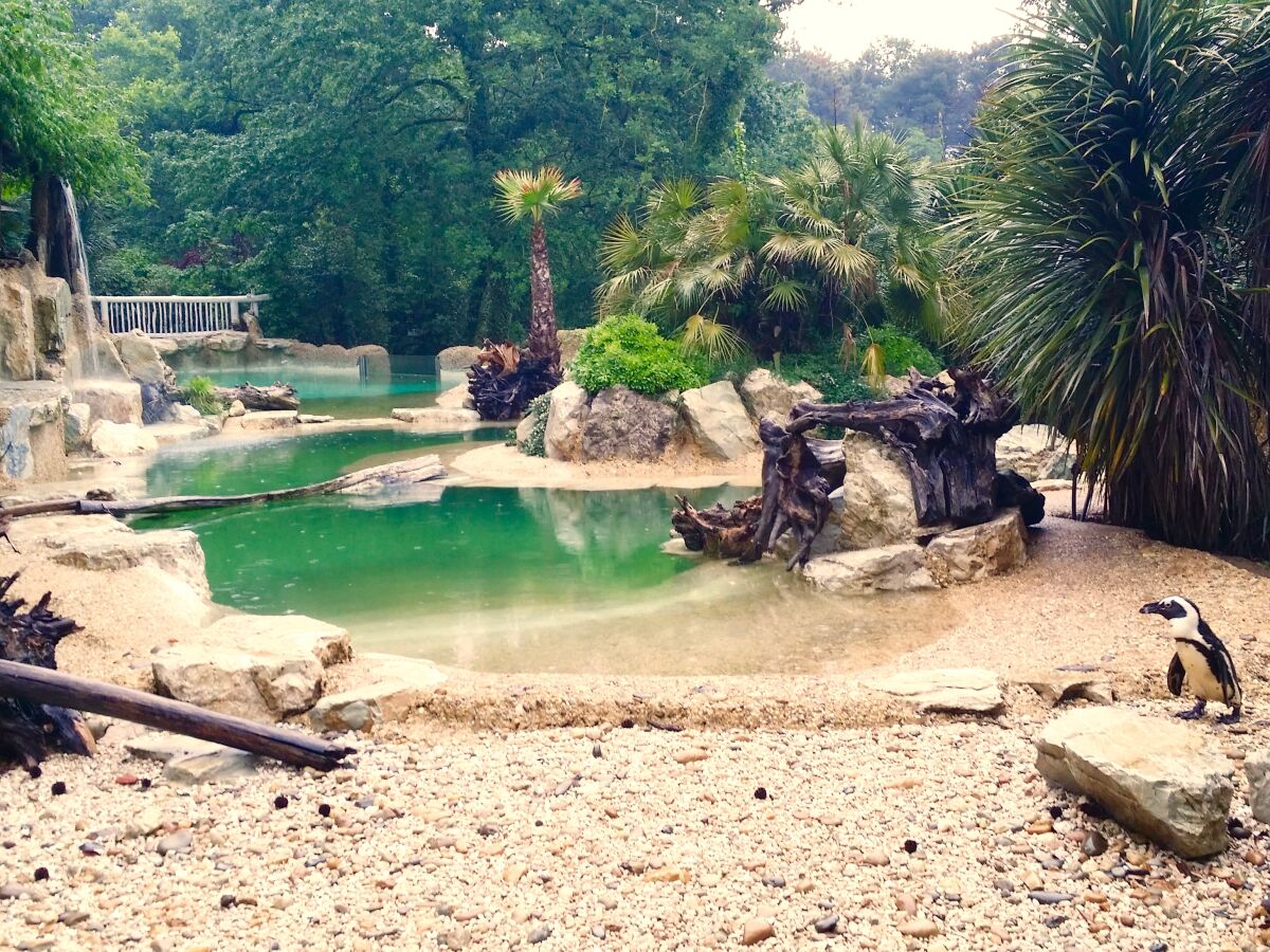 Wunderschöner Tierpark von Pistoia