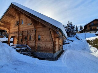 Appartement Montriond  10