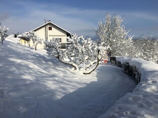 View from Sauna