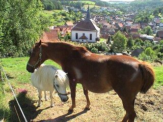 View from the terrace on Lohrhaupten