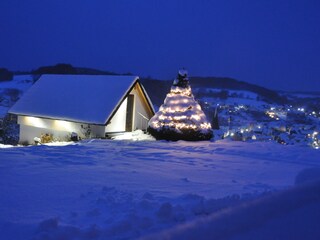 Wooden house with the firewood