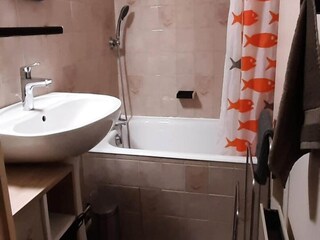 Appartamento Miribel-Lanchâtre Caratteristiche 20