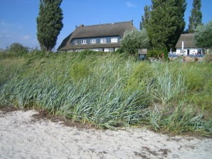 Ferienwohnung Traumlage am Strand - Middelhagen - image1