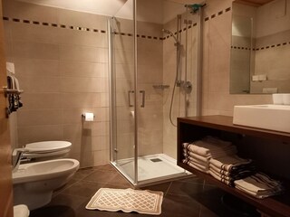 Appartamento per vacanze Lana Caratteristiche 14