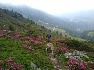 Appartamento per vacanze Lana Ambiente 29