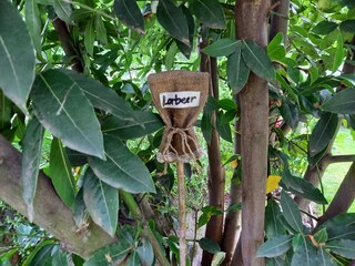 Appartamento per vacanze Lana Registrazione all'aperto 8