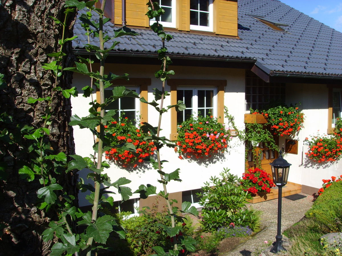 Herzlich Willkommen im Haus Vogelsang