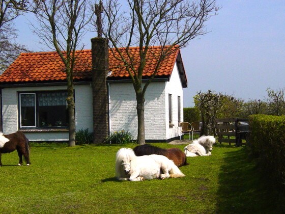 bungalow de koog