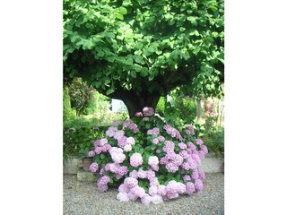 Casa per le vacanze Meschers Registrazione all'aperto 7