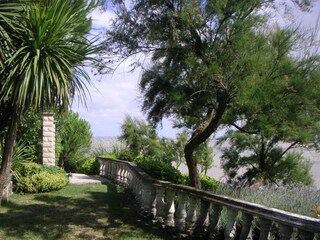 Blick durch den Garten mit Blick auf das Wasser.