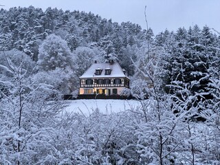 Cottage Jaegerthal Outdoor Recording 7