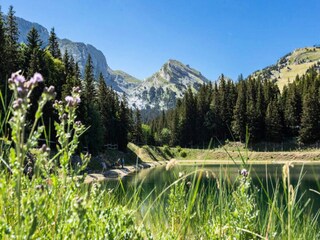 Appartamento Miribel-Lanchâtre  29