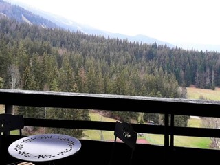 Appartamento Miribel-Lanchâtre Caratteristiche 13