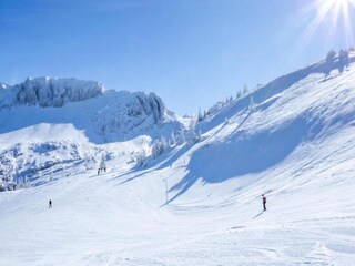 Appartamento Miribel-Lanchâtre Caratteristiche 18