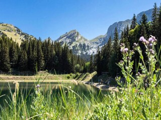 Appartamento Miribel-Lanchâtre Ambiente 24