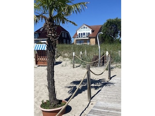 Strand gegenüber vom Strandhaus Haffkrug