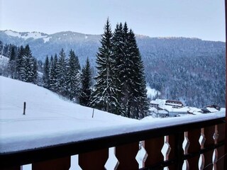 Appartement Saint-Jean-d'Aulps Omgeving 25