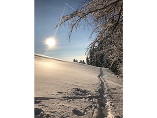 Schneeschuhwandern in Berbruggen