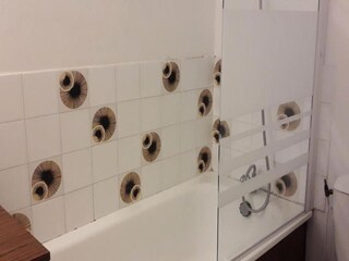 Appartamento Miribel-Lanchâtre Caratteristiche 24