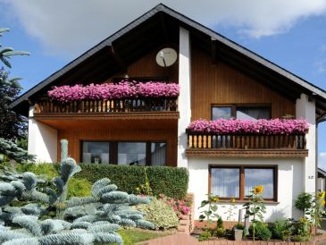 Holiday apartment Eifel Vulkaneifel Ulmen