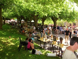 Vakantiepark Saint-Médard-d'Excideuil Omgeving 33