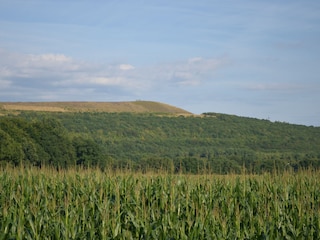 Halde Haniel mit Kreuzweg