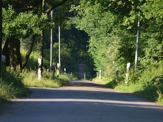 Weg zum Weseler Forst Hohe Mark