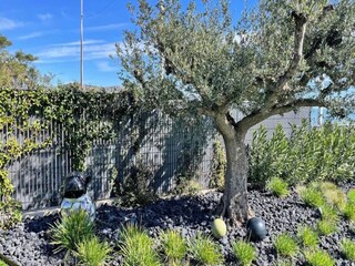 Apartamento Sainte-Maxime  3