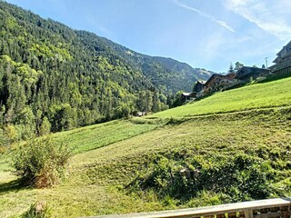 Apartment Saint-Jean-d'Aulps Umgebung 34